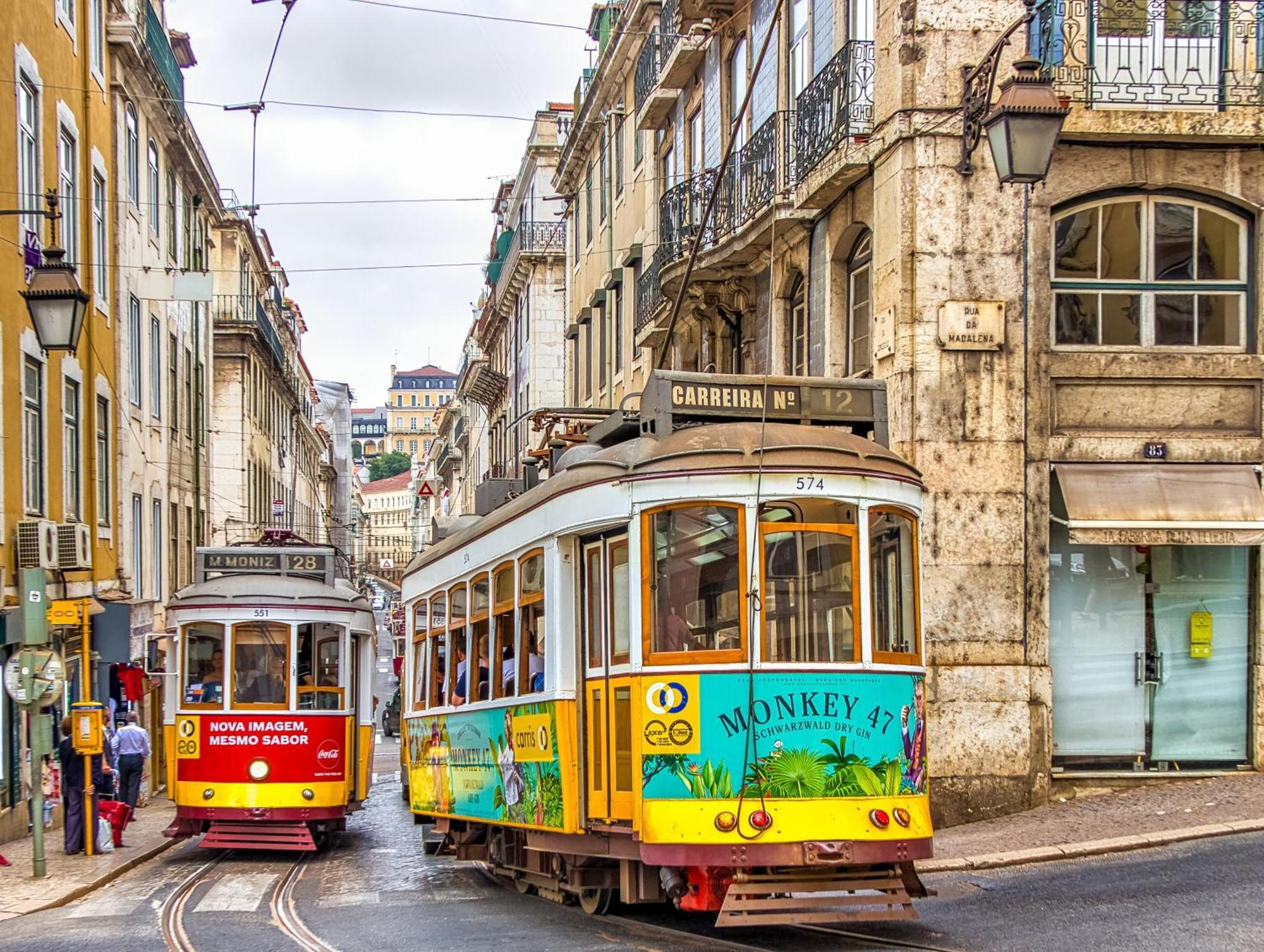 Lejlighed Jungle Lofts Lisboa